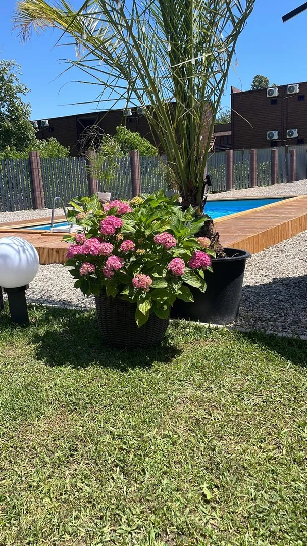 Двухэтажные домики у моря