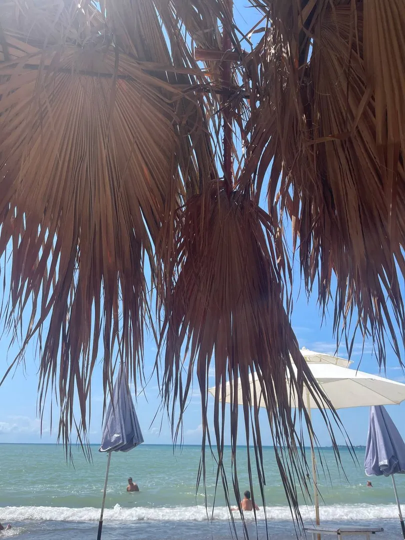 В гостях у Эммы🏝️