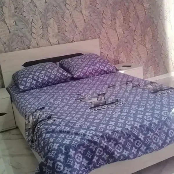 Домики под ключ 
