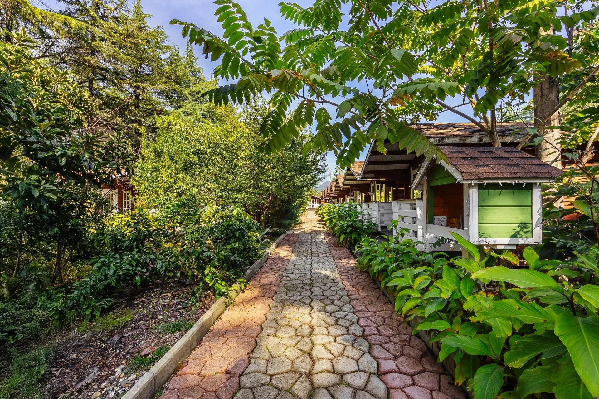 Отель Eco House Pitiunt