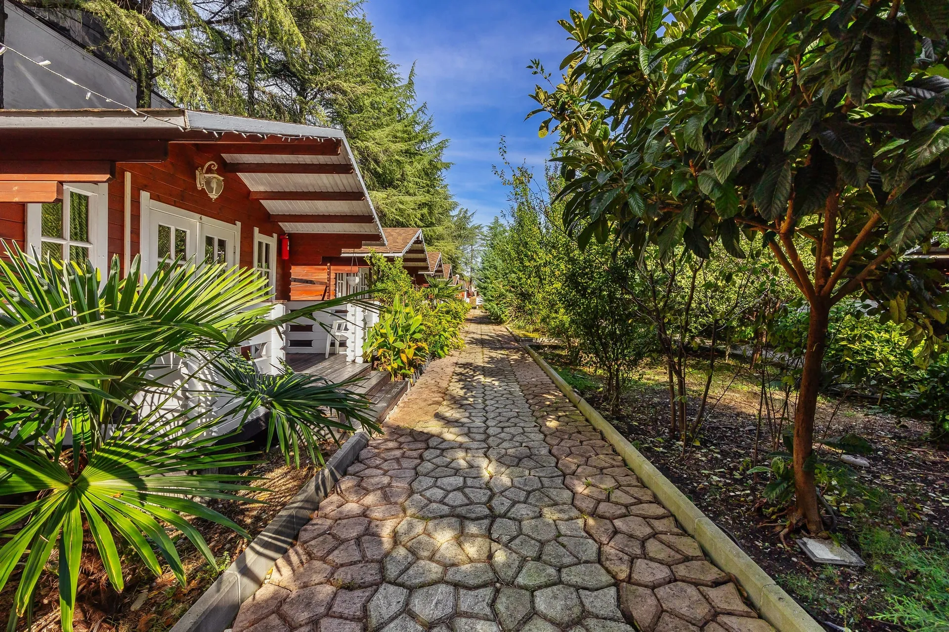 Отель Eco House Pitiunt