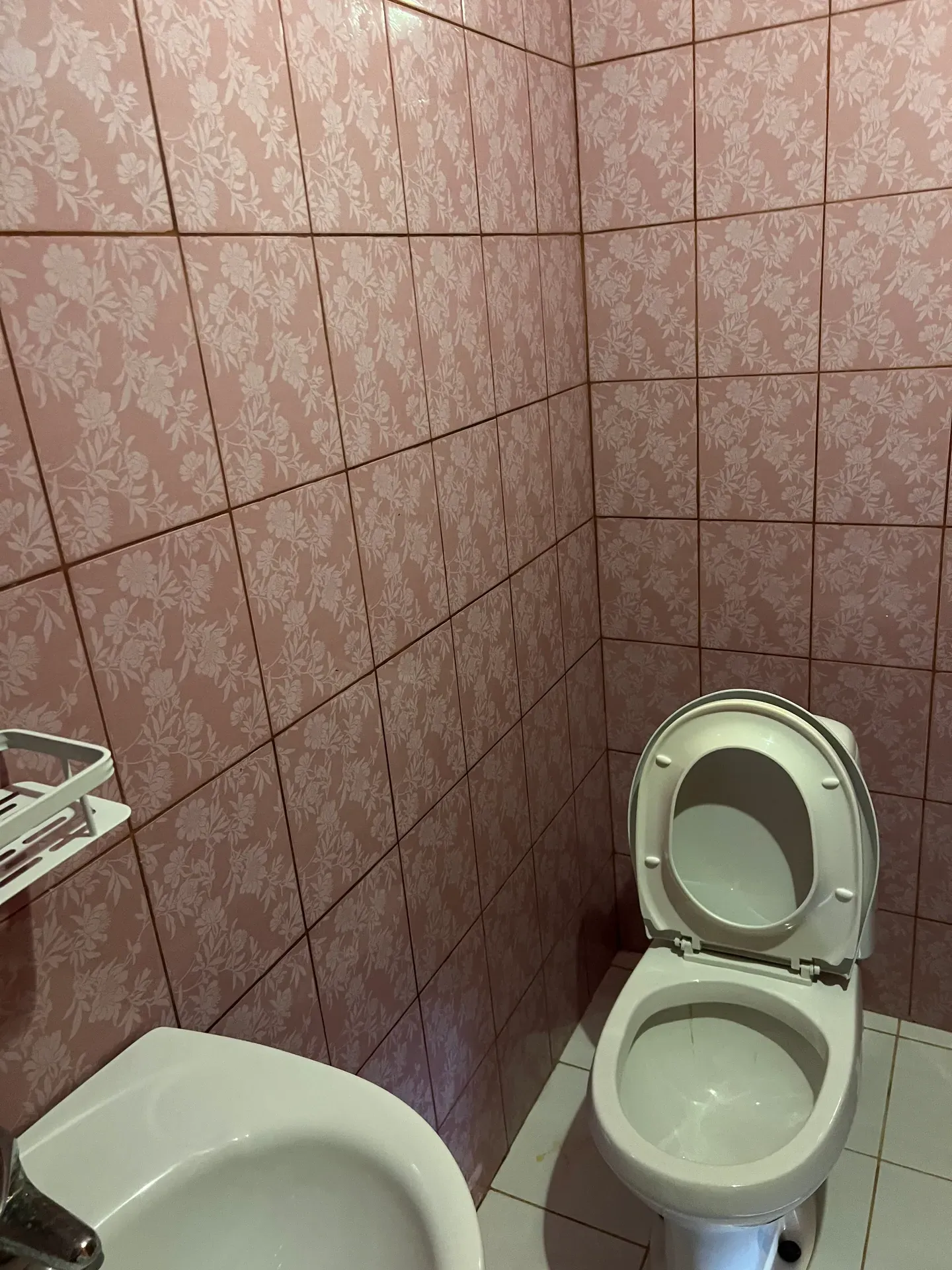 Бугенвиллия 