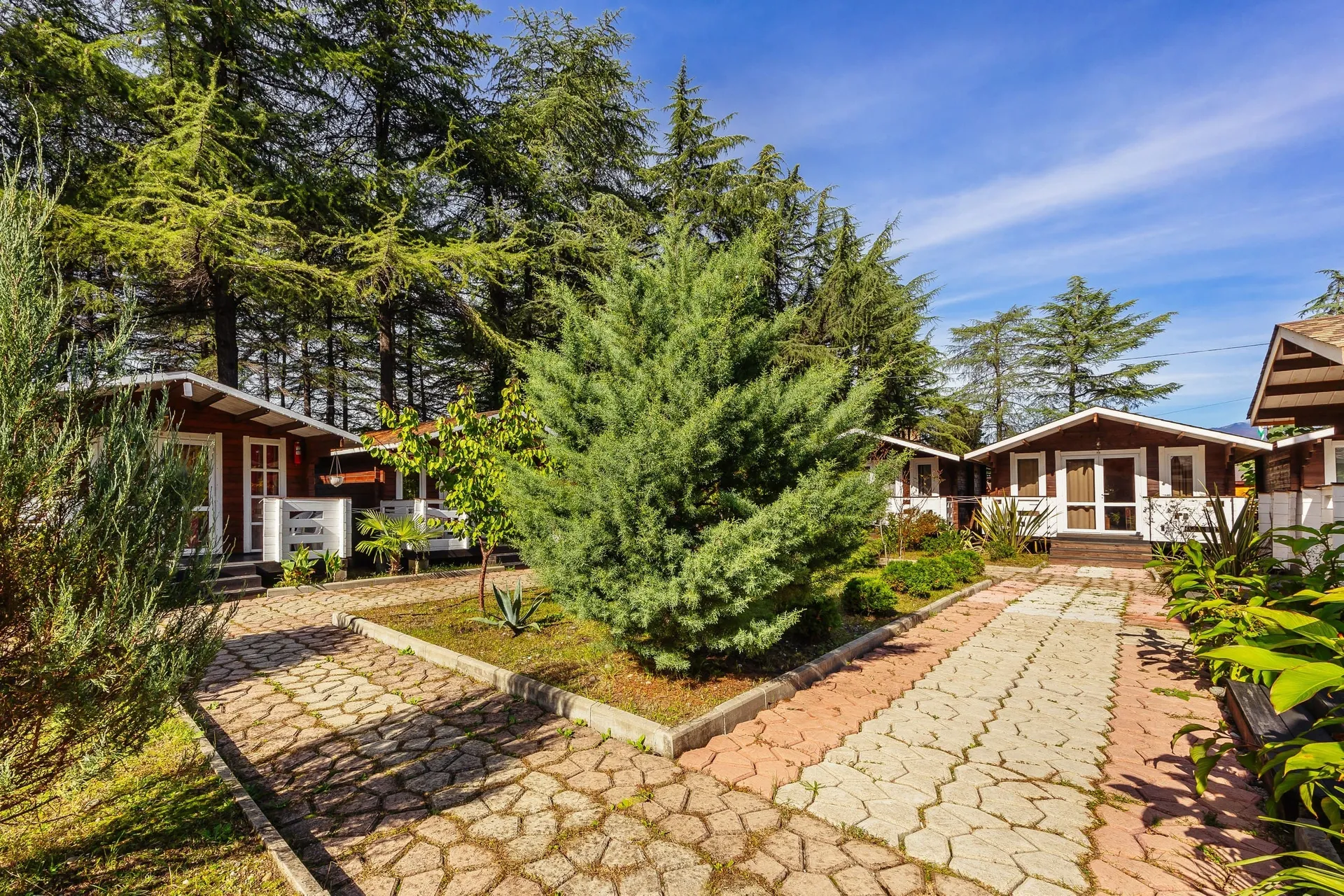 Отель Eco House Pitiunt